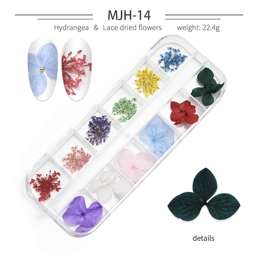 Cross-Border Hot Nail Ornament Wholesale 12 Colors Starry Sky Little Daisy Lace Preserved Fresh Flower Real Flower Nail Beauty Dried Flowers