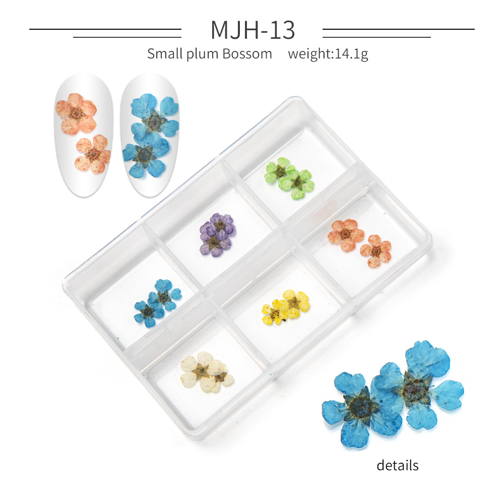 Cross-Border Hot Nail Ornament Wholesale 12 Colors Starry Sky Little Daisy Lace Preserved Fresh Flower Real Flower Nail Beauty Dried Flowers