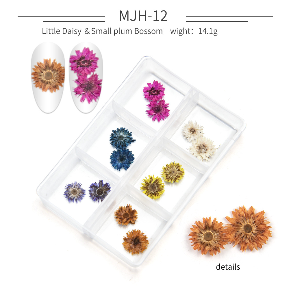 Cross-Border Hot Nail Ornament Wholesale 12 Colors Starry Sky Little Daisy Lace Preserved Fresh Flower Real Flower Nail Beauty Dried Flowers