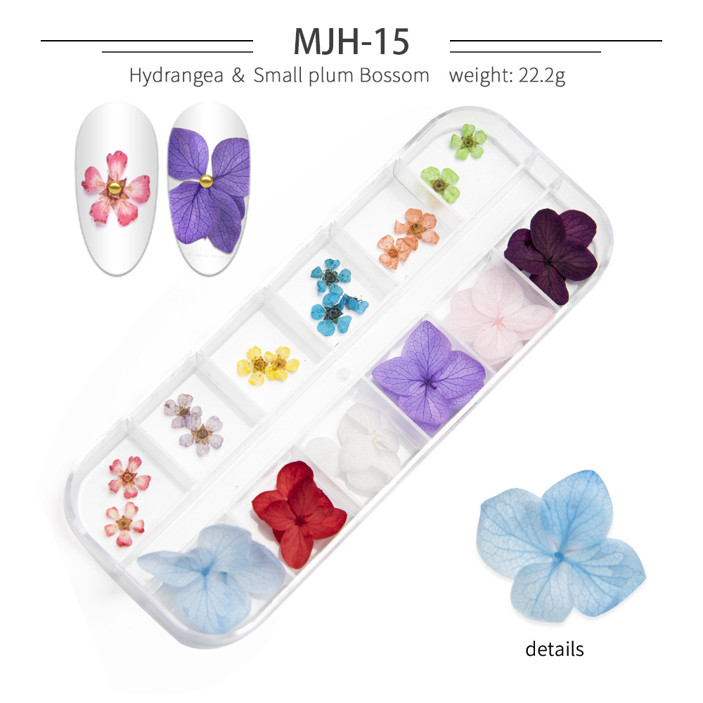 Cross-Border Hot Nail Ornament Wholesale 12 Colors Starry Sky Little Daisy Lace Preserved Fresh Flower Real Flower Nail Beauty Dried Flowers