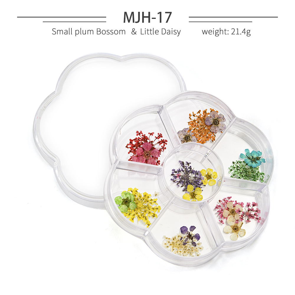 Cross-Border Hot Nail Ornament Wholesale 12 Colors Starry Sky Little Daisy Lace Preserved Fresh Flower Real Flower Nail Beauty Dried Flowers
