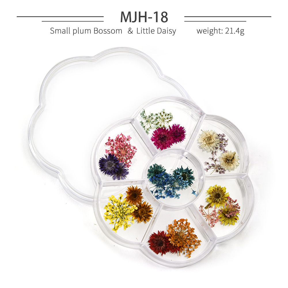 Cross-Border Hot Nail Ornament Wholesale 12 Colors Starry Sky Little Daisy Lace Preserved Fresh Flower Real Flower Nail Beauty Dried Flowers