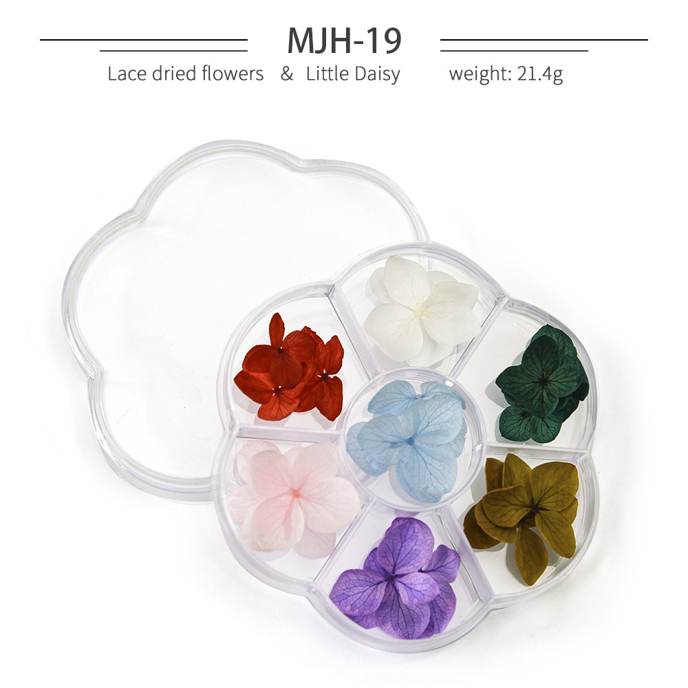 Cross-Border Hot Nail Ornament Wholesale 12 Colors Starry Sky Little Daisy Lace Preserved Fresh Flower Real Flower Nail Beauty Dried Flowers
