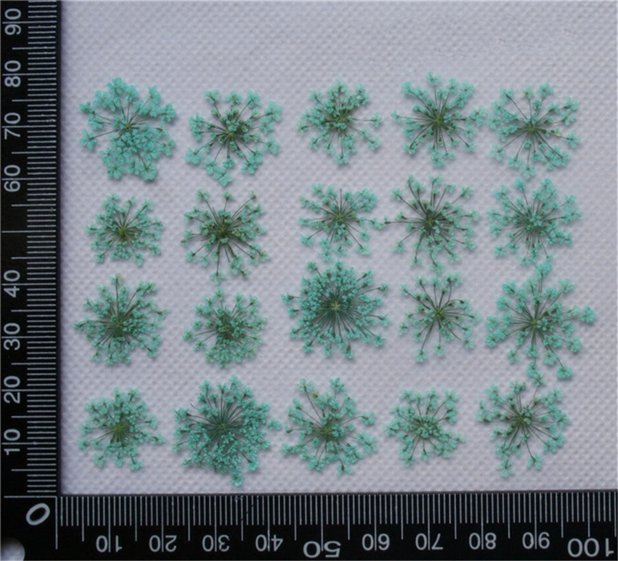Lace Flower Embossed Dried Flower Epoxy Manicure Fittings Snow Flower Beads 1-2cm 2000 Flowers/Bag