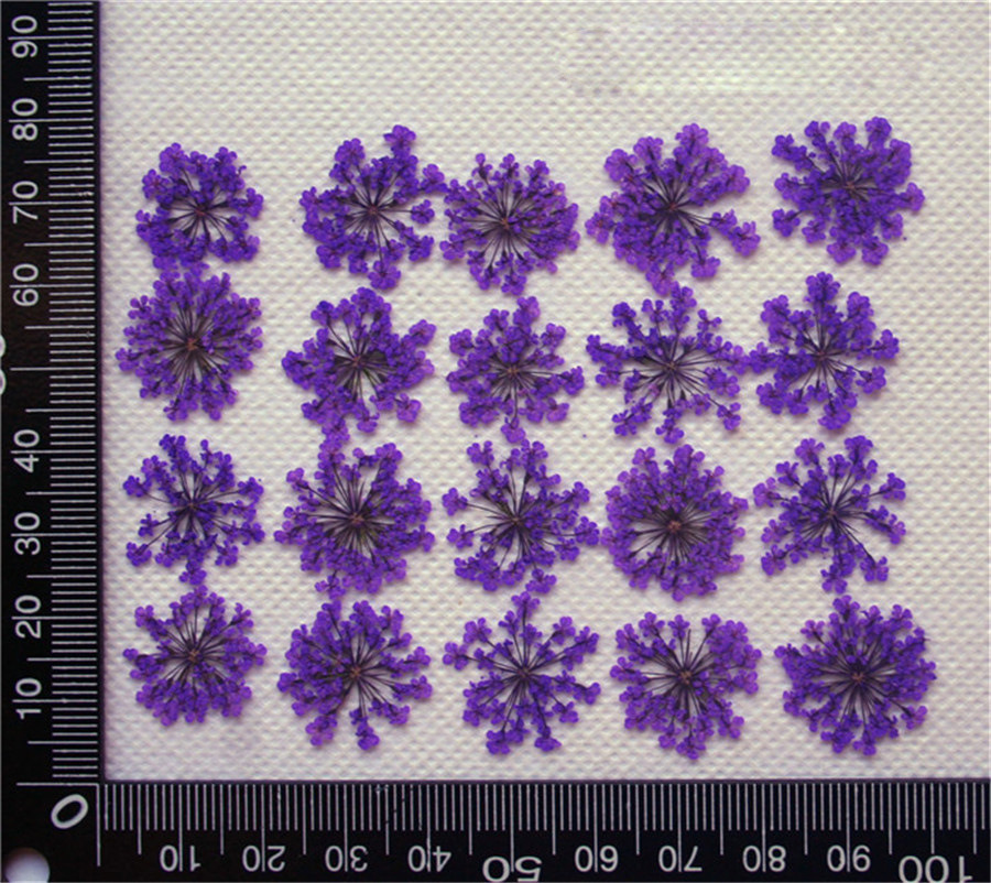 Lace Flower Embossed Dried Flower Epoxy Manicure Fittings Snow Flower Beads 1-2cm 2000 Flowers/Bag