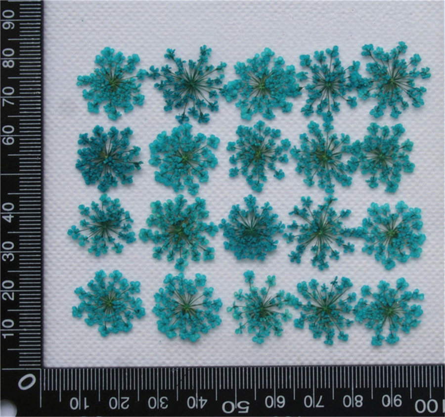 Lace Flower Embossed Dried Flower Epoxy Manicure Fittings Snow Flower Beads 1-2cm 2000 Flowers/Bag Lace Flower Embossed Dried Flower Epoxy Manicure Fittings Snow Flower Beads 1-2cm 2000 Flowers/Bag