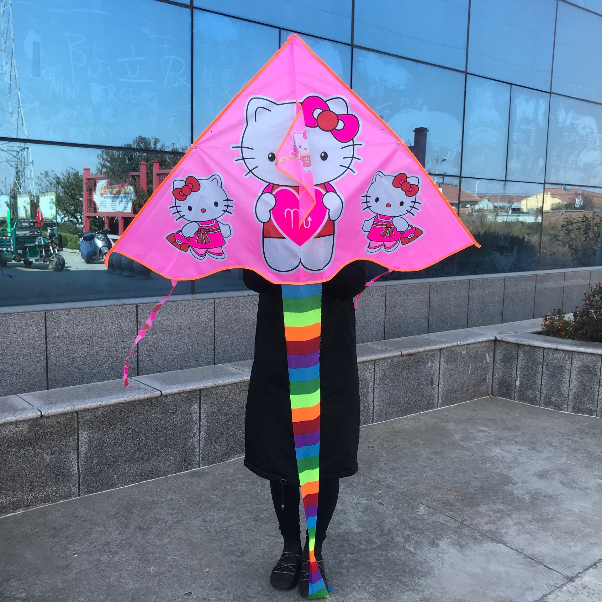 Wholesale Weifang Kite New Bright Cloth Hot Printed Curved Triangle Kite Children's Cartoon Kite Manufacturers Supply