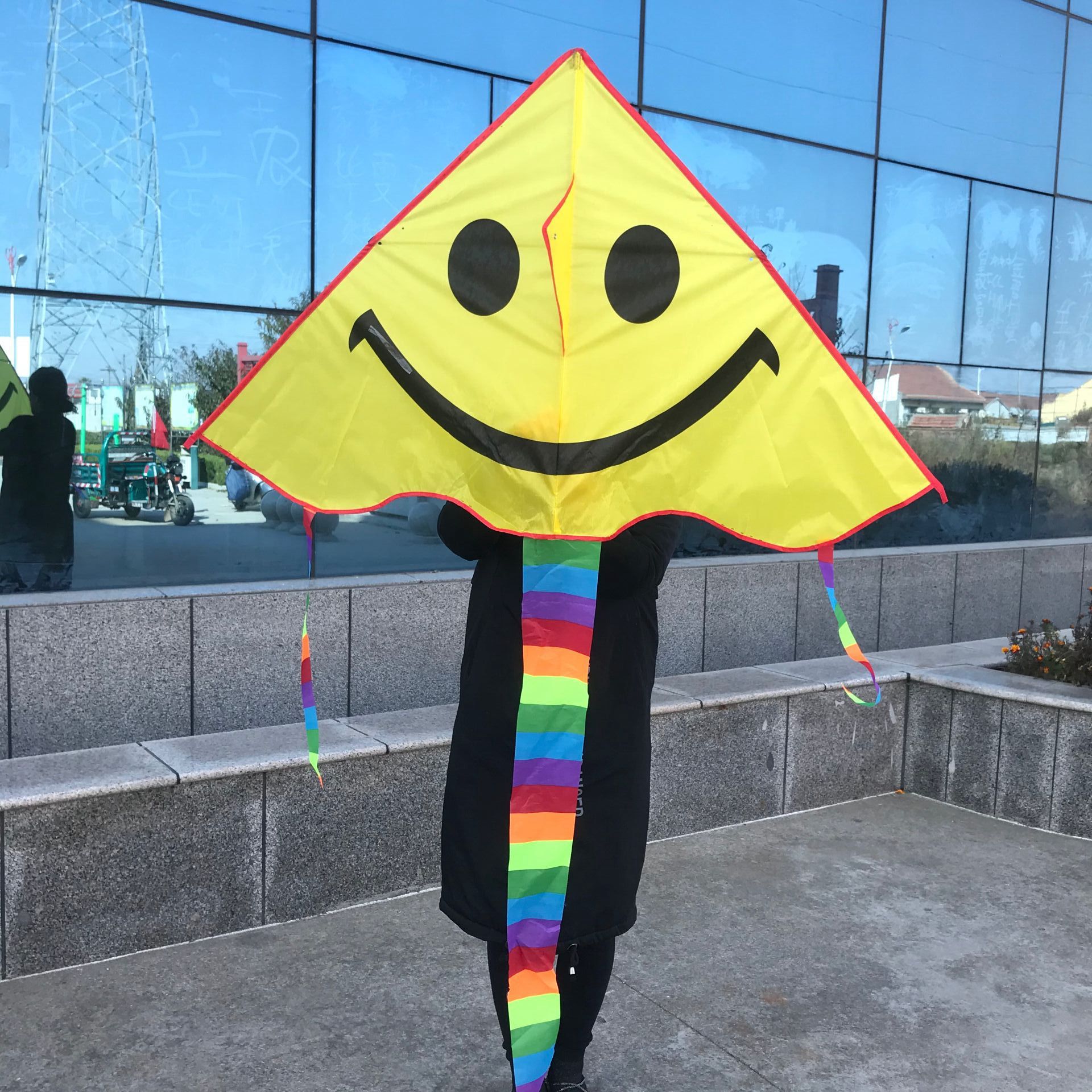 Wholesale Weifang Kite New Bright Cloth Hot Printed Curved Triangle Kite Children's Cartoon Kite Manufacturers Supply