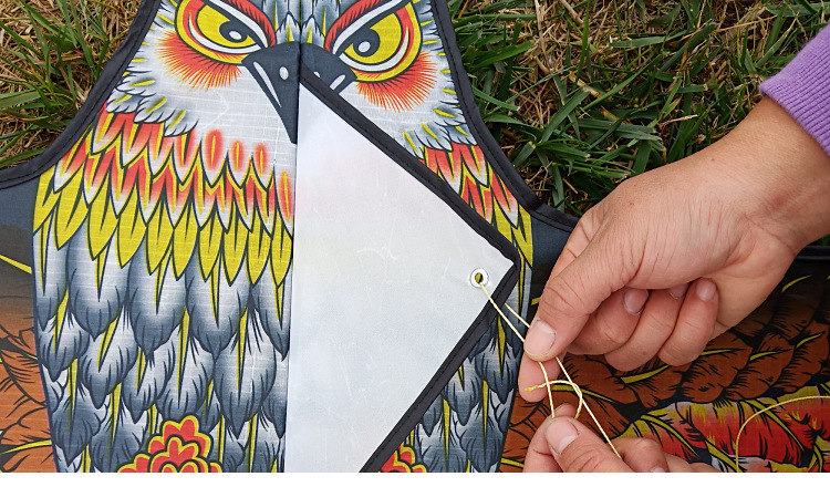Weifang Kite Wholesale 1.2 M 1.55 M Bright Cloth Heat Printing Children Cartoon Eagle Kite Orchard Bird Repellent Kite Weifang Kite Wholesale 1.2 M 1.55 M Bright Cloth Heat Printing Children Cartoon Eagle Kite Orchard Bird Repellent Kite
