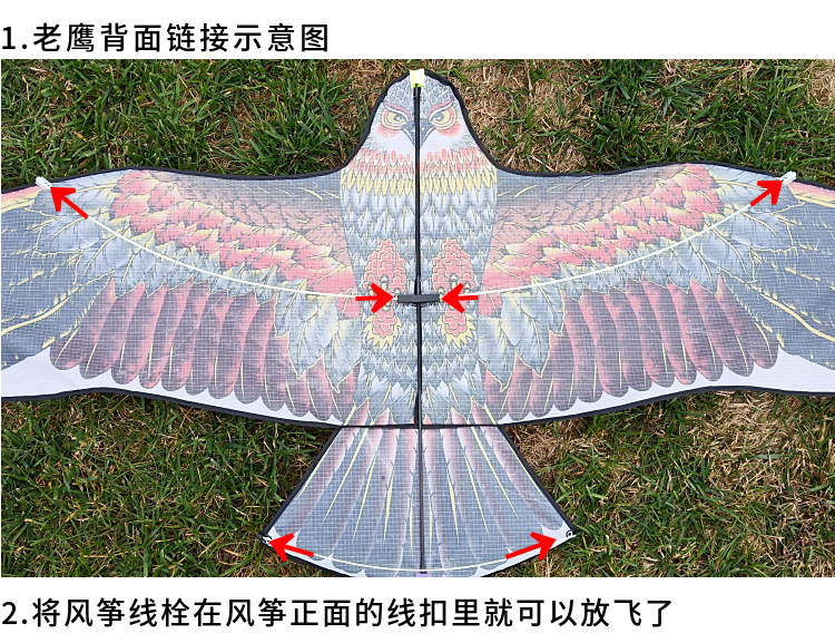 Weifang Kite Wholesale 1.2 M 1.55 M Bright Cloth Heat Printing Children Cartoon Eagle Kite Orchard Bird Repellent Kite Weifang Kite Wholesale 1.2 M 1.55 M Bright Cloth Heat Printing Children Cartoon Eagle Kite Orchard Bird Repellent Kite