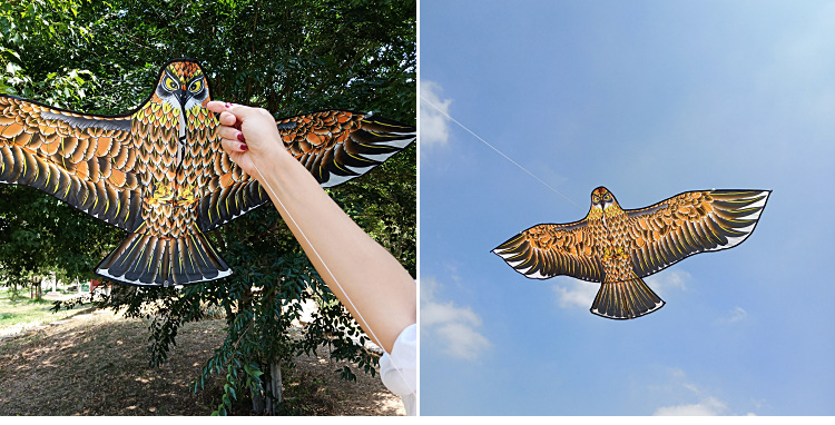 Weifang Kite Wholesale 1.2 M 1.55 M Bright Cloth Heat Printing Children Cartoon Eagle Kite Orchard Bird Repellent Kite Weifang Kite Wholesale 1.2 M 1.55 M Bright Cloth Heat Printing Children Cartoon Eagle Kite Orchard Bird Repellent Kite