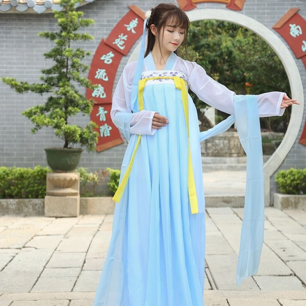 Han Chinese Clothing Women's Chinese Style Cardigan Chest-High Dress Fairy Flowing Ancient Style Daily Hanfu Super Girl Spring and Autumn