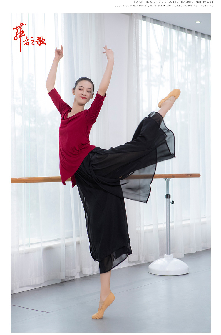 Adult Dance Top Women's Body Art Examination Square Dance Performance Clothes Yoga Clothes Classical Dance Clothes Adult Dance Top Women's Body Art Examination Square Dance Performance Clothes Yoga Clothes Classical Dance Clothes