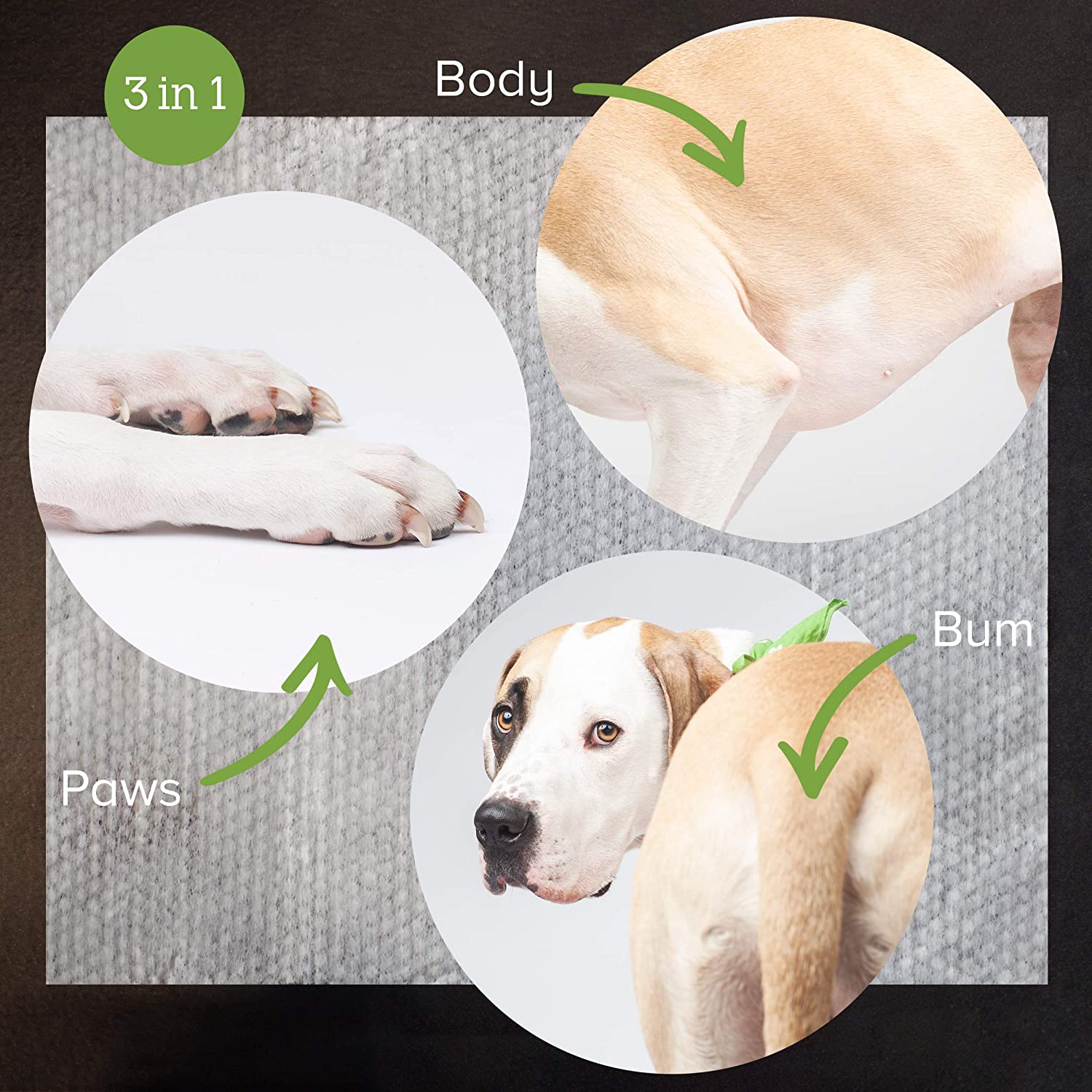 Pet Grooming Wipes Biodegradable Pet Cleaning Moist Tooth Eye Ear Wet Pet Wipes Pet Grooming Wipes Biodegradable Pet Cleaning Moist Tooth Eye Ear Wet Pet Wipes
