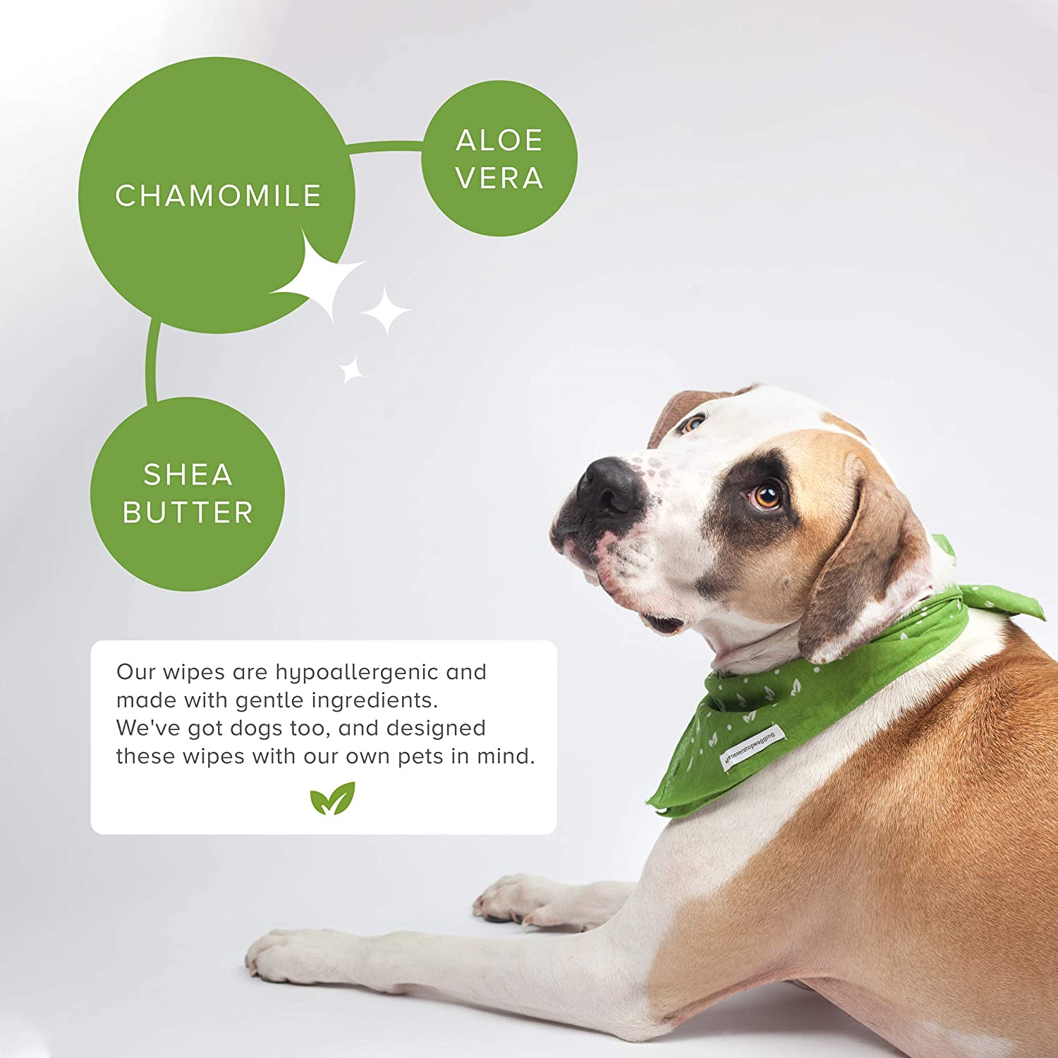 Pet Grooming Wipes Biodegradable Pet Cleaning Moist Tooth Eye Ear Wet Pet Wipes Pet Grooming Wipes Biodegradable Pet Cleaning Moist Tooth Eye Ear Wet Pet Wipes