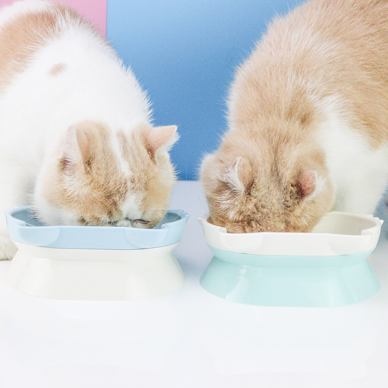 New Kitty Pet Bowl ABS Plastic Bevel Cat Bowl Integrated Double Bowl Easy to Eat and Lick in Stock