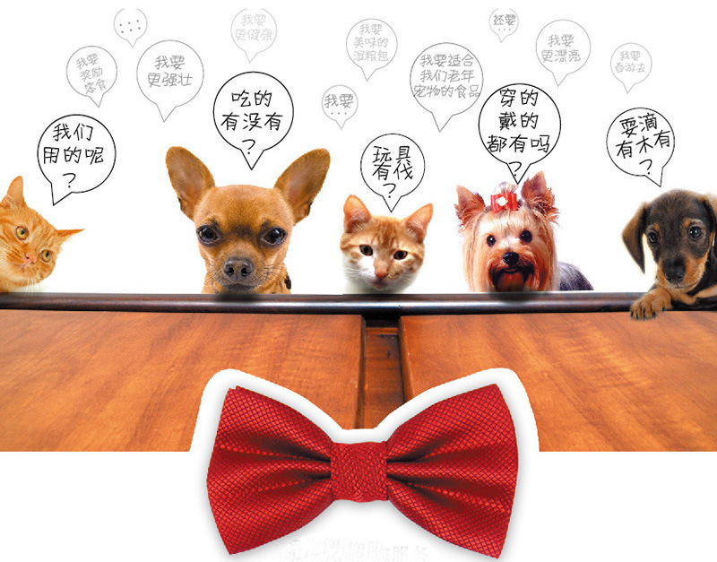 Manufacturers Supply Plastic Dog Food and Water Dual-Use Pet Bowl Leak-Proof Dog Bowl Water Bowl Pet Dual-Purpose Bowl Manufacturers Supply Plastic Dog Food and Water Dual-Use Pet Bowl Leak-Proof Dog Bowl Water Bowl Pet Dual-Purpose Bowl