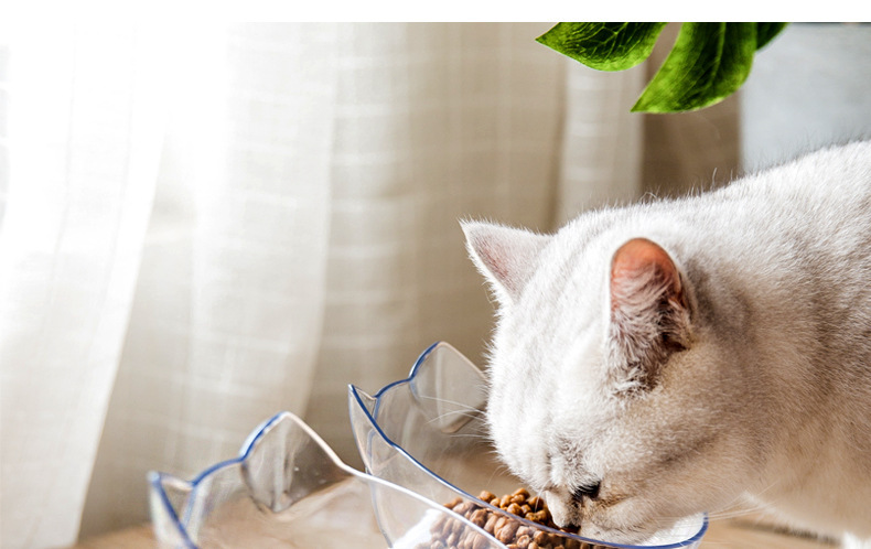 Cat Bowl Oblique Double Bowl Cervical Protection Cat Food Holder Cat Food Bowl Pet Dog Basin Dog Bowl Pet Bowl Automatic Drinking Water