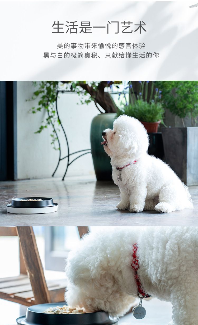 Brand Customized Pet Supplies Chinese Style Reversi Dog Bowl Separated Double Bowl Cat Bowl Anti-Tumble Pet Bowl