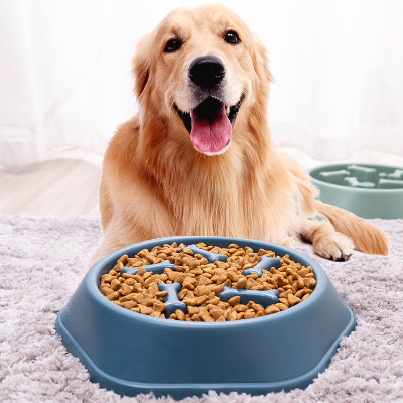 Cross-Border Hot Pet Products Manufacturer Plastic Dog Bowl Pet Anti-Chye Pet Bowl Cat Bowl Bone Slow Feeding Bowl Wholesale