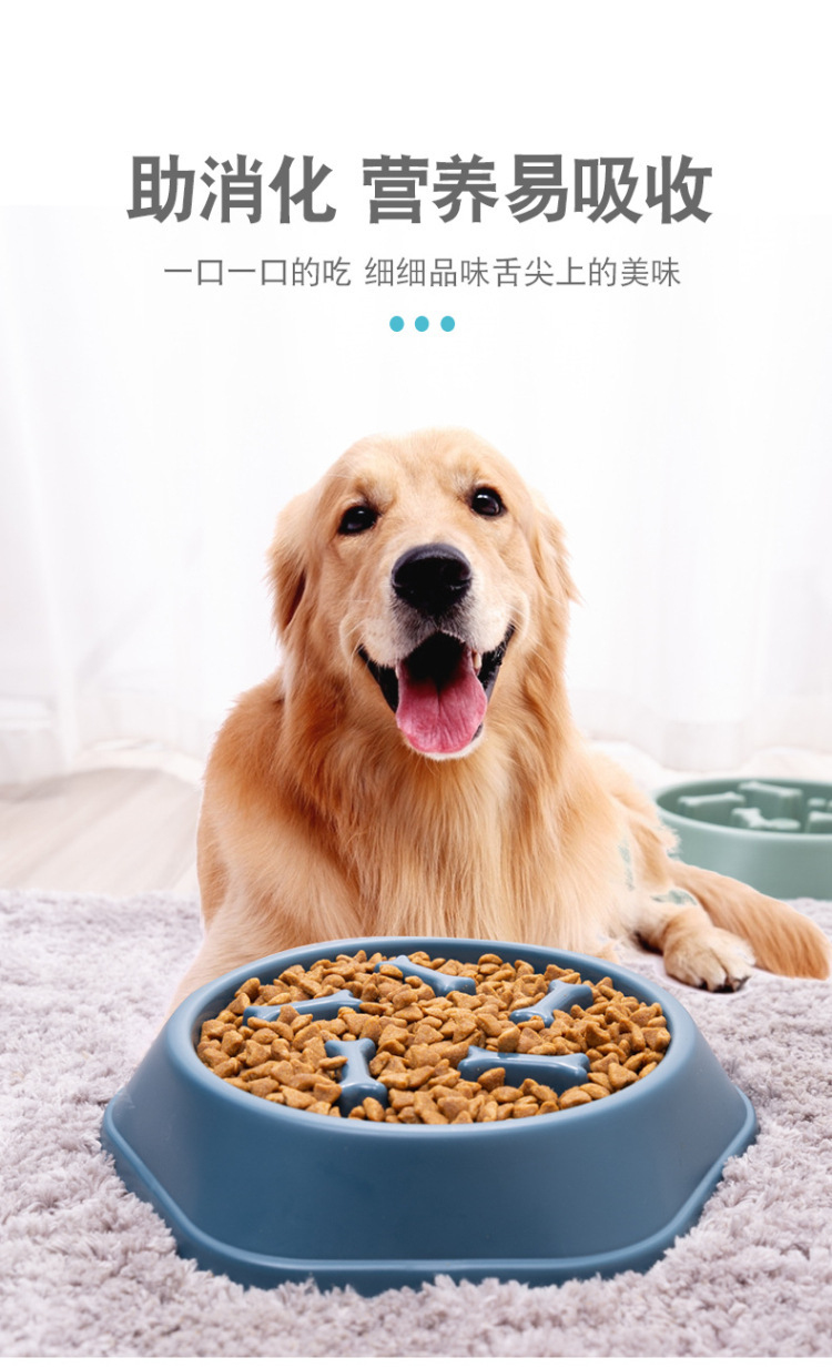 Cross-Border Hot Pet Products Manufacturer Plastic Dog Bowl Pet Anti-Chye Pet Bowl Cat Bowl Bone Slow Feeding Bowl Wholesale Cross-Border Hot Pet Products Manufacturer Plastic Dog Bowl Pet Anti-Chye Pet Bowl Cat Bowl Bone Slow Feeding Bowl Wholesale
