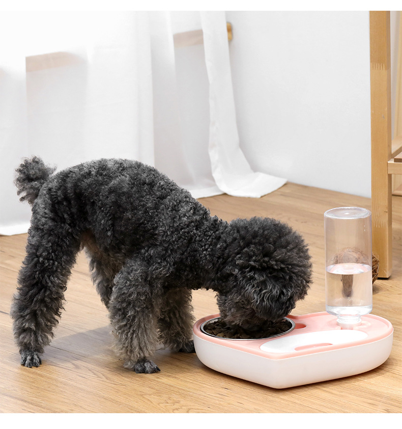Pet Bowl Ins New Love Keep Dry Mouth Dual-Purpose Bowl Cat Automatic Water Feeding Bowl Small and Medium-Sized Dogs Creative Dog Bowl Pet Bowl Ins New Love Keep Dry Mouth Dual-Purpose Bowl Cat Automatic Water Feeding Bowl Small and Medium-Sized Dogs Creative Dog Bowl