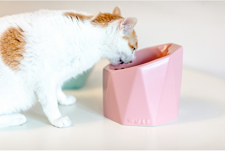 New Geometric Six-Side Exquisite Bowl Ceramic Pet Bowl Dogs and Cats Food and Drink Food Basin Factory Direct Sales New Geometric Six-Side Exquisite Bowl Ceramic Pet Bowl Dogs and Cats Food and Drink Food Basin Factory Direct Sales