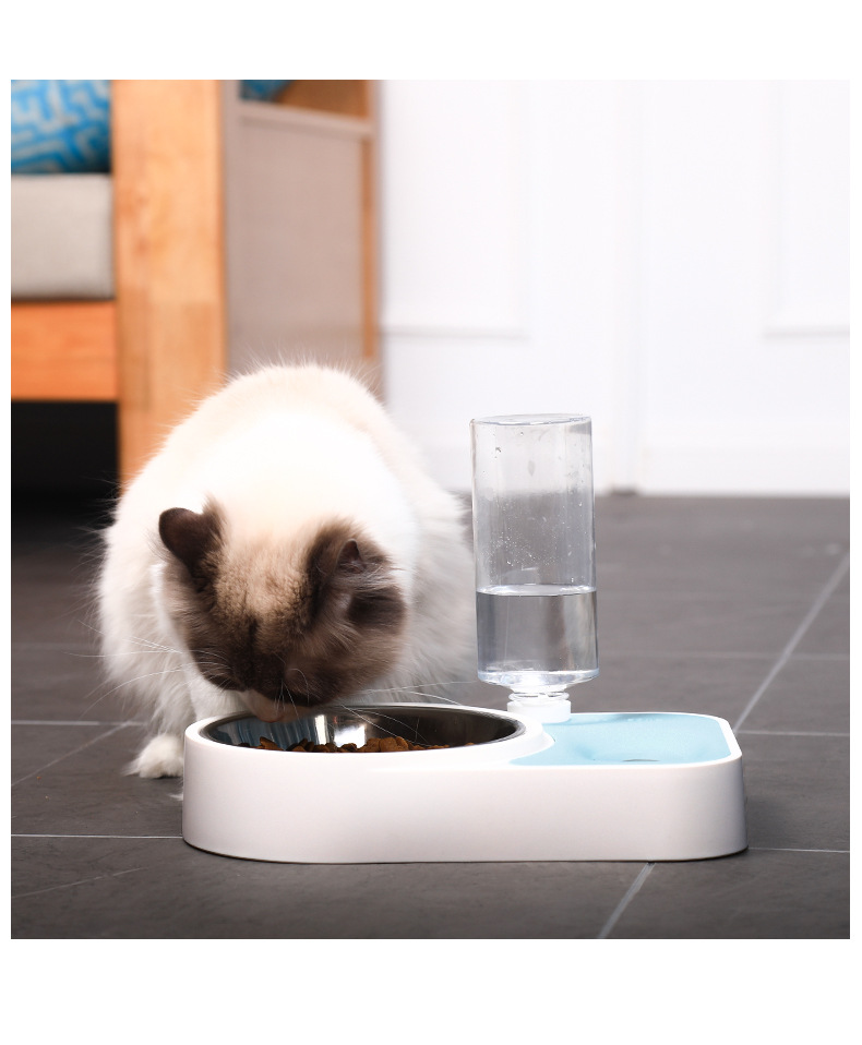 New Original Dog Bowl Keep Dry Mouth Dual Use Pet Bowl Cat Automatic Water Feeder Pet Double Bowl Automatic Drinking Basin New Original Dog Bowl Keep Dry Mouth Dual Use Pet Bowl Cat Automatic Water Feeder Pet Double Bowl Automatic Drinking Basin