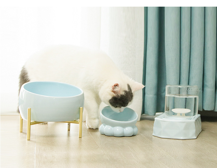 New Bobo Pet Bowl Laid-Back Cat Food Holder Dog Bowl Oblique Non-Slip Large Capacity Ceramic Cat Bowl New Bobo Pet Bowl Laid-Back Cat Food Holder Dog Bowl Oblique Non-Slip Large Capacity Ceramic Cat Bowl