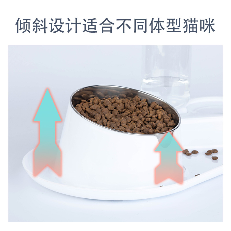 Anti-Splash Removable and Washable Stainless Steel Double Bowl Tilt Protection Cervical Spine Pet Bowl Cat Food Holder Dual-Use Dog Bowl