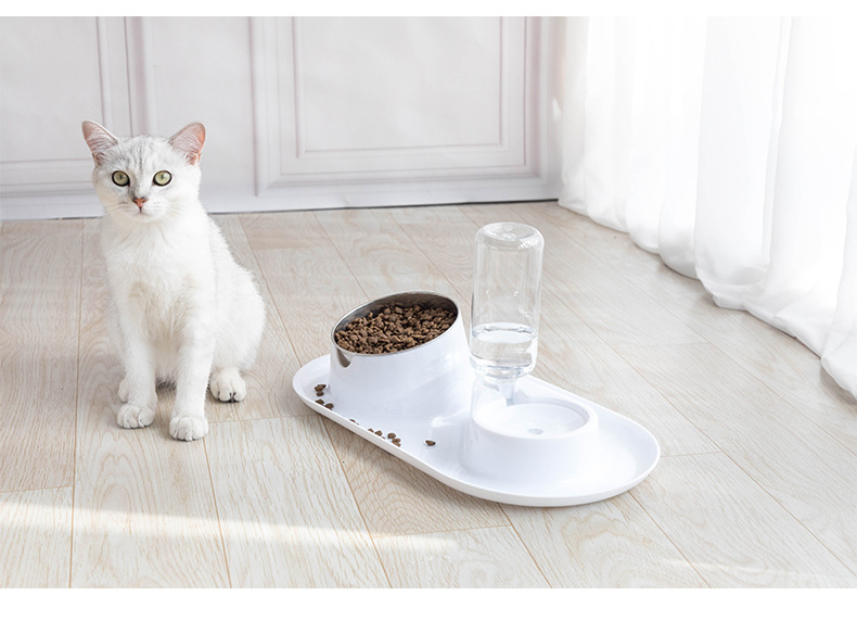Anti-Splash Removable and Washable Stainless Steel Double Bowl Tilt Protection Cervical Spine Pet Bowl Cat Food Holder Dual-Use Dog Bowl Anti-Splash Removable and Washable Stainless Steel Double Bowl Tilt Protection Cervical Spine Pet Bowl Cat Food Holder Dual-Use Dog Bowl