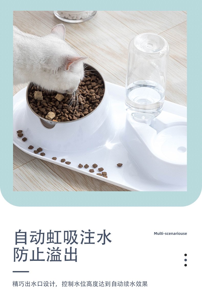 Anti-Splash Removable and Washable Stainless Steel Double Bowl Tilt Protection Cervical Spine Pet Bowl Cat Food Holder Dual-Use Dog Bowl Anti-Splash Removable and Washable Stainless Steel Double Bowl Tilt Protection Cervical Spine Pet Bowl Cat Food Holder Dual-Use Dog Bowl