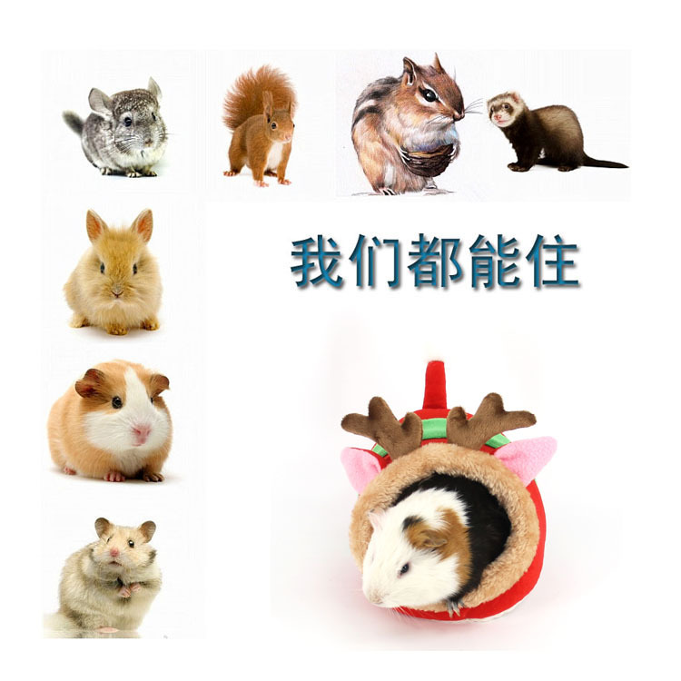 Pet Nest Factory Lucky Little Dutch Pig Guinea Pig Cotton Pet Nest Chihuahua Kennel Rabbit Mini Small Pet Nest Pet Nest Factory Lucky Little Dutch Pig Guinea Pig Cotton Pet Nest Chihuahua Kennel Rabbit Mini Small Pet Nest