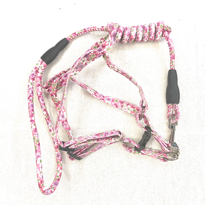 Pet Chain Dog Cat Hand Holding Rope Five-Color Flower Material Leather Pet Chain Dog Cat Hand Holding Rope Five-Color Flower Material Leather