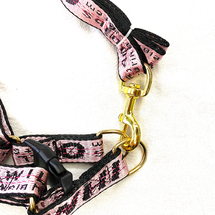 Pet Chain Popular English Letters Bandana Hand Holding Rope Source Factory Pet Chain Popular English Letters Bandana Hand Holding Rope Source Factory