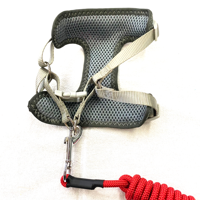 Pet Chain Breathable Mesh Back + Hand Holding Rope Pet Chain Breathable Mesh Back + Hand Holding Rope