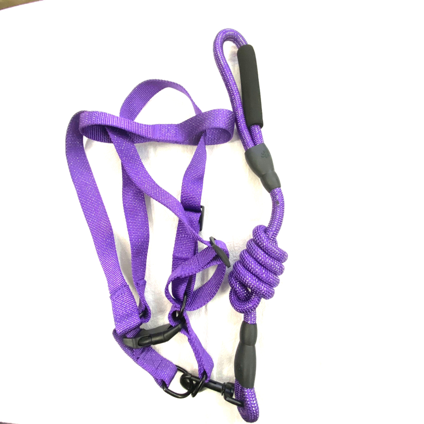 Pet Chain Silver Silk Bandlet Hand Holding Rope 5 Colors Mixed Pet Chain Silver Silk Bandlet Hand Holding Rope 5 Colors Mixed