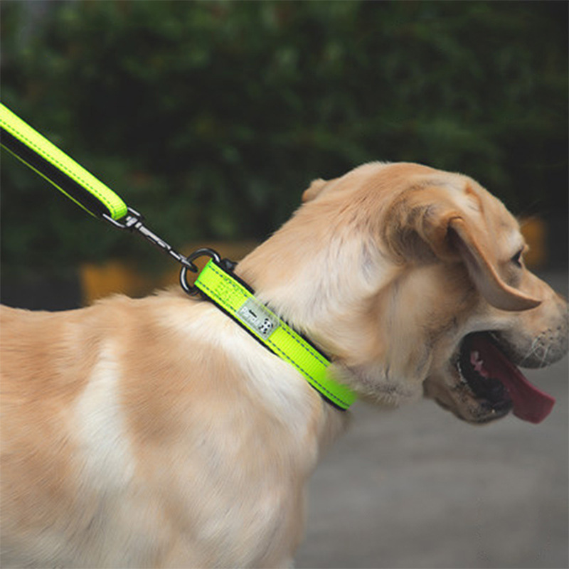 Factory Direct Sales Hot Sale Luminous Reflective Hand Holding Rope Nylon Bandana Double D Buckle Adjustable Dog Collar Pet Rope Wholesale
