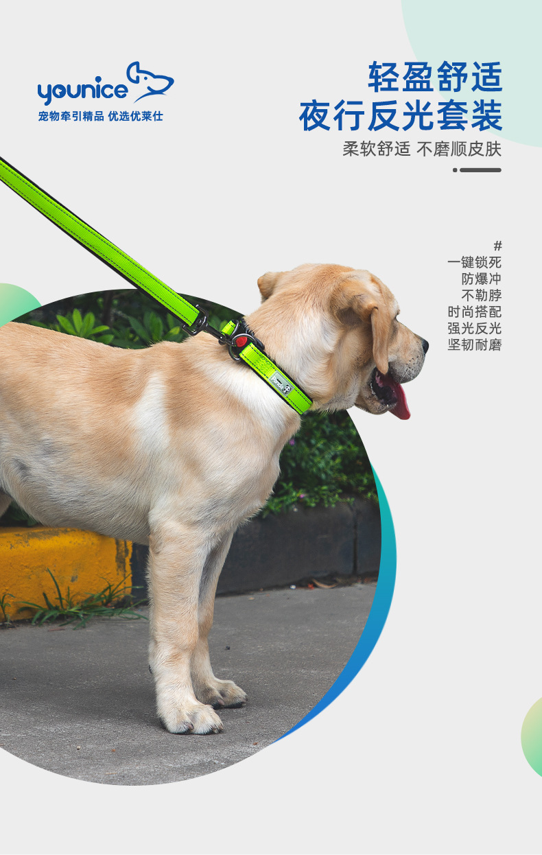 Factory Direct Sales Hot Sale Luminous Reflective Hand Holding Rope Nylon Bandana Double D Buckle Adjustable Dog Collar Pet Rope Wholesale Factory Direct Sales Hot Sale Luminous Reflective Hand Holding Rope Nylon Bandana Double D Buckle Adjustable Dog Collar Pet Rope Wholesale