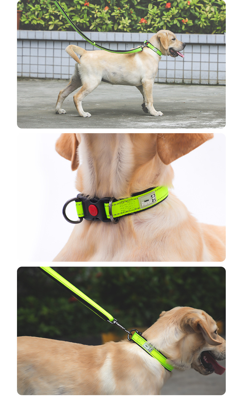 Factory Direct Sales Hot Sale Luminous Reflective Hand Holding Rope Nylon Bandana Double D Buckle Adjustable Dog Collar Pet Rope Wholesale Factory Direct Sales Hot Sale Luminous Reflective Hand Holding Rope Nylon Bandana Double D Buckle Adjustable Dog Collar Pet Rope Wholesale