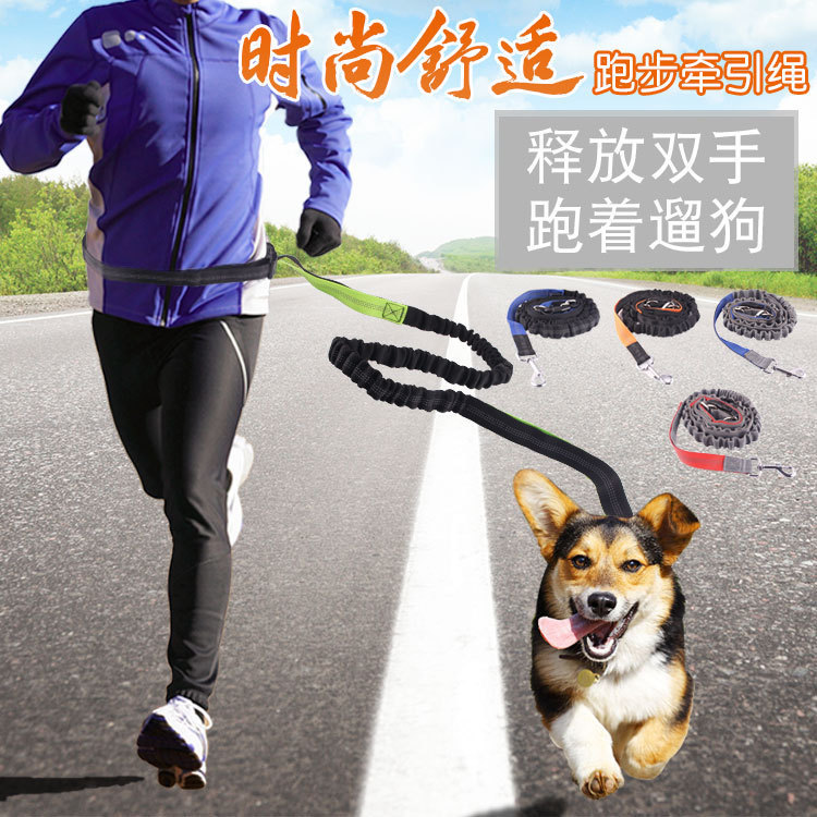 Amazon Pet Supplies Explosion-Proof Elastic Nylon Pet Running Hand Holding Rope Pet Rope in Stock Wholesale
