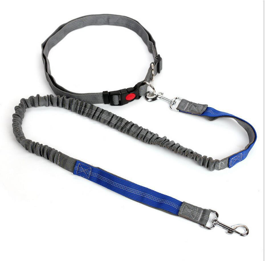 Amazon Pet Supplies Explosion-Proof Elastic Nylon Pet Running Hand Holding Rope Pet Rope in Stock Wholesale