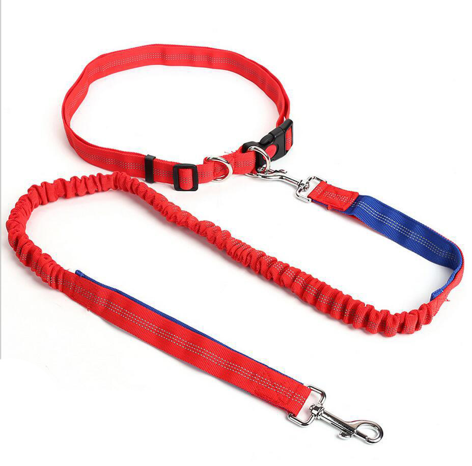 Amazon Pet Supplies Explosion-Proof Elastic Nylon Pet Running Hand Holding Rope Pet Rope in Stock Wholesale