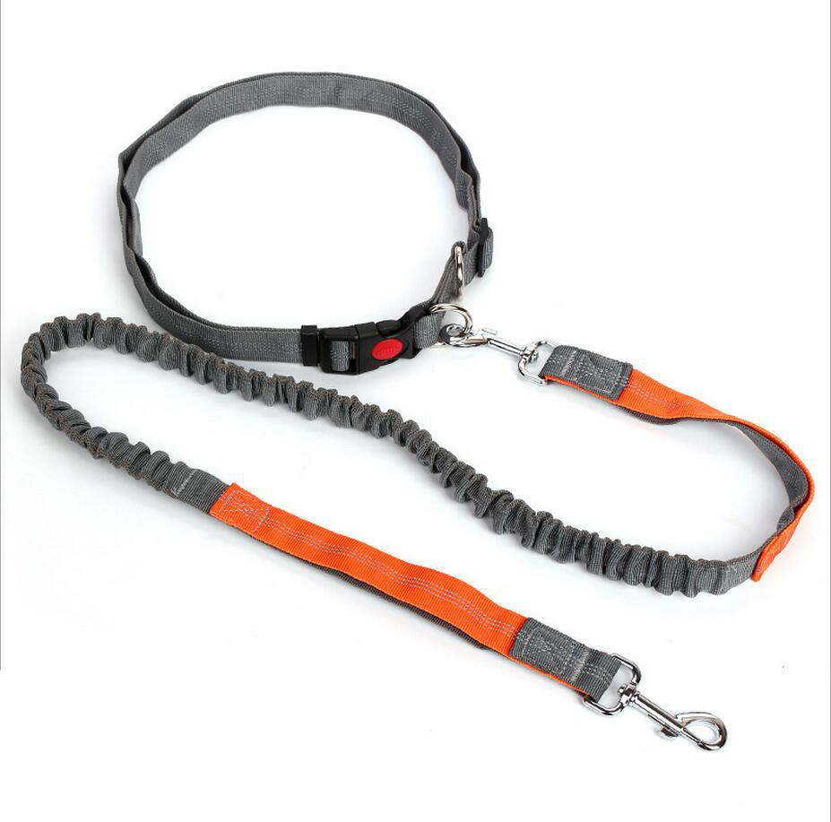 Amazon Pet Supplies Explosion-Proof Elastic Nylon Pet Running Hand Holding Rope Pet Rope in Stock Wholesale