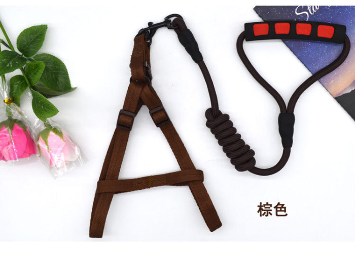 Pet rope pure color hot style dog chest strap set teddy golden hair comfortable soft traction rope factory direct sale. Pet rope pure color hot style dog chest strap set teddy golden hair comfortable soft traction rope factory direct sale.
