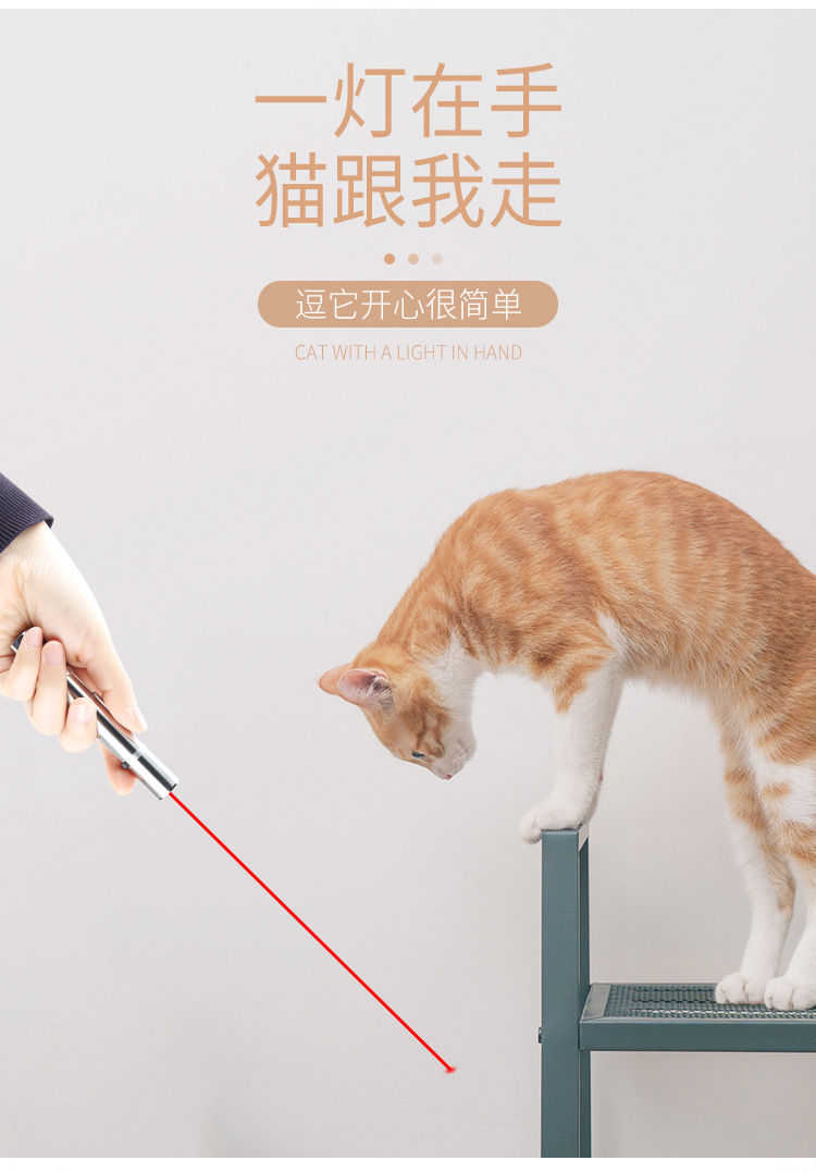 USB Rechargeable Laser Cat Teaser Multi-Pattern Amazon Cat Toy Pet Supplies Toy Funny Cat Pen