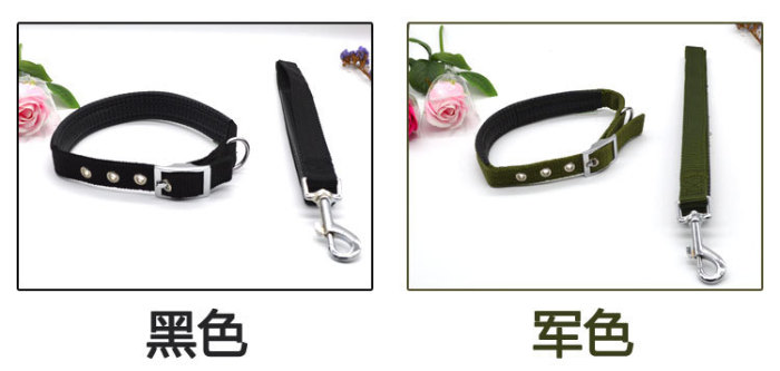 Manufacturer direct selling pet supplies small dog bubble cotton collar with a set of teddy chihuahua pet rope collar.