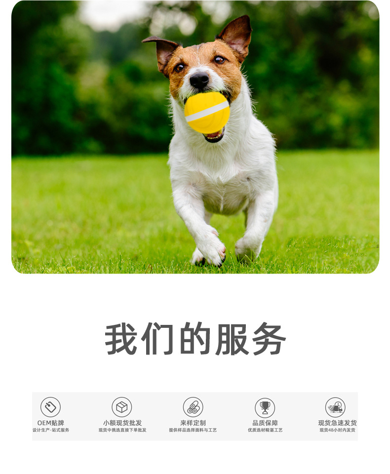 Amazon TikTok Cat Toy Electric Pet Ball USB Charging Dogs and Cats Toy Dormant Luminous Ball Manufacturer Amazon TikTok Cat Toy Electric Pet Ball USB Charging Dogs and Cats Toy Dormant Luminous Ball Manufacturer