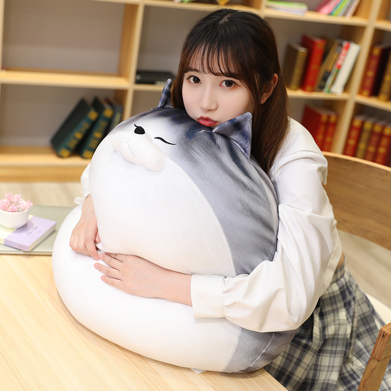 Japanese Cute Pet Kitty DDMOO Doll Doll Plush Toy Bed Sleeping Super Soft Big Pillow Ragdoll