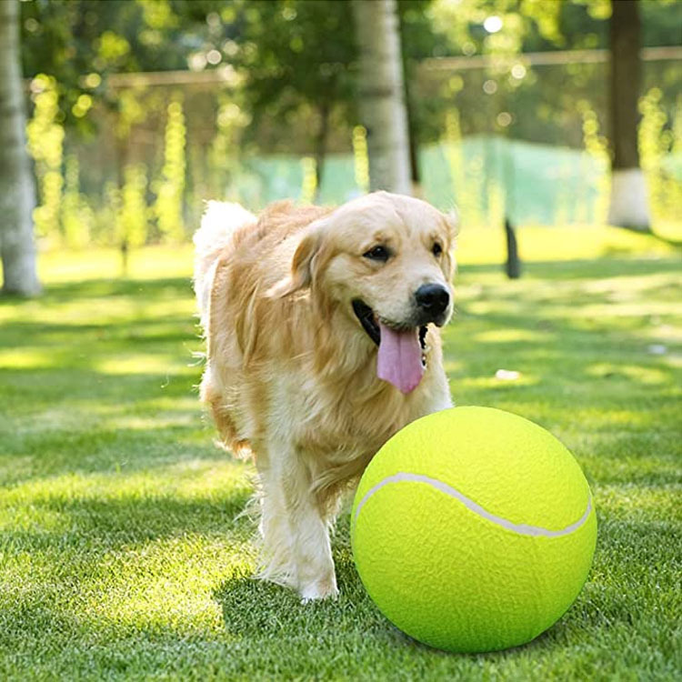 Big Tennis Sign 24cm Inflatable Tennis Holiday Activity Gift Pet Tennis 9.5-Inch Pet Bite Toy